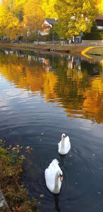 Hotel Schiff Nagold Esterno foto